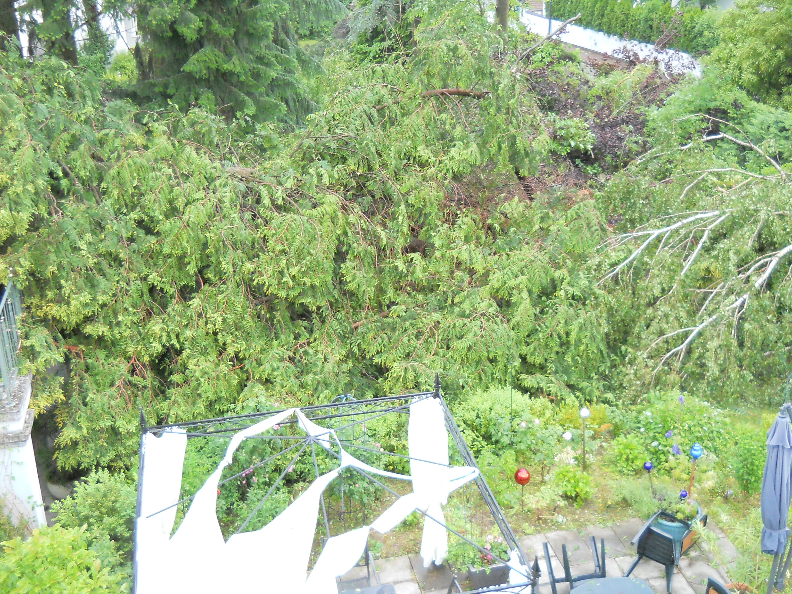 Sturmschaden Familie Bremser